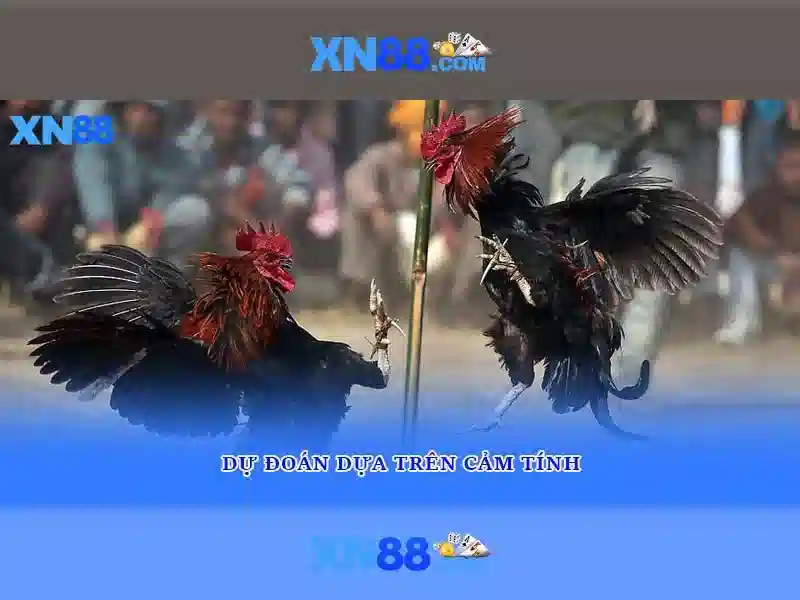 xn88 nổ hủ: Hành trình trải nghiệm cùng xn88 gaming và xn88,com