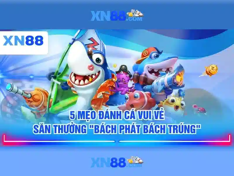 An toàn tài khoản và pháp lý