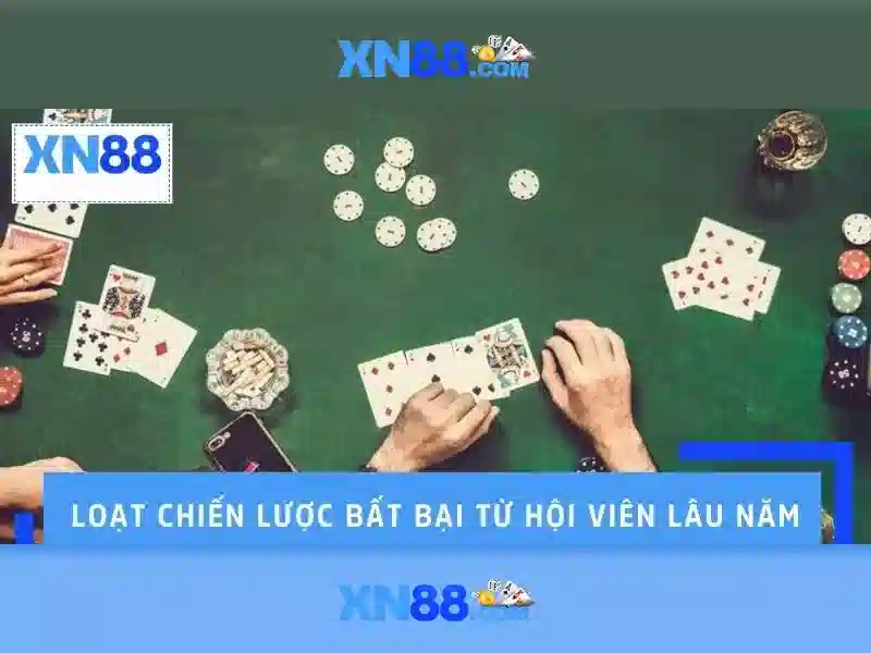 Nền tảng và trải nghiệm người dùng