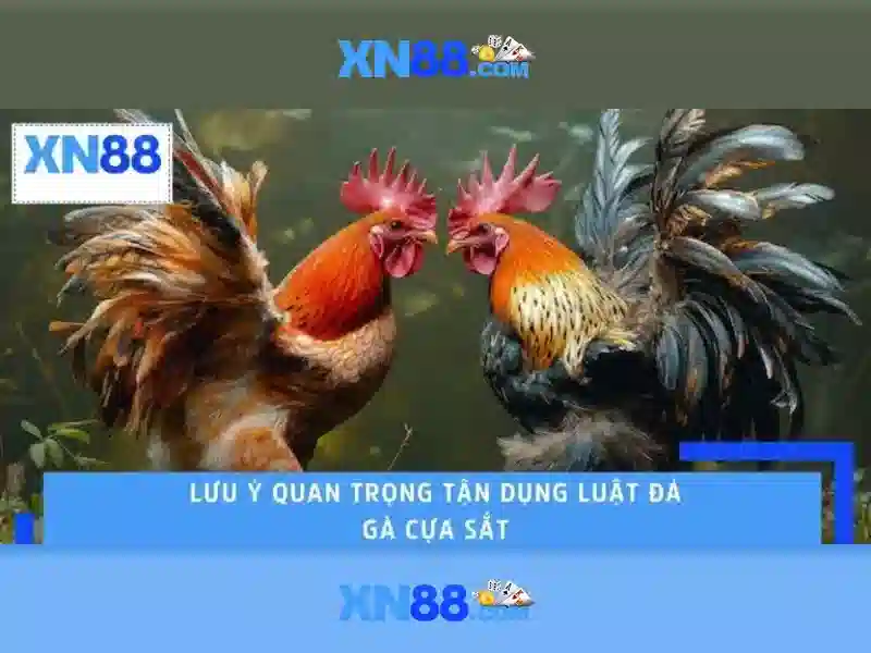 Tầm nhìn tương lai của https xn88 app normal