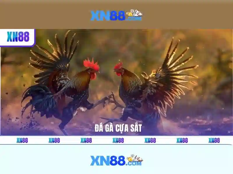 Giới thiệu về XN88<h>Được thiết kế cho người dùng Việt</h><li style=