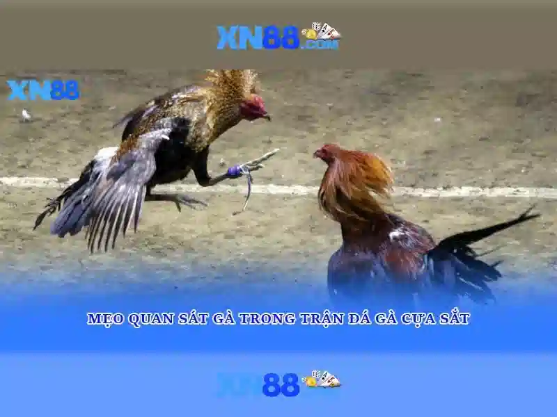 Tính năng nổi bật