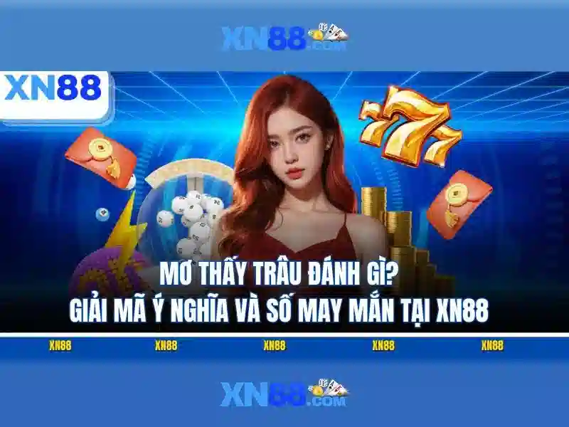 Lịch sử và tầm nhìn