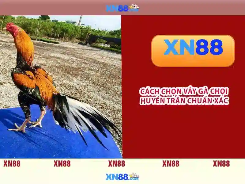 Danh sách trò chơi và chương trình khuyến mãi