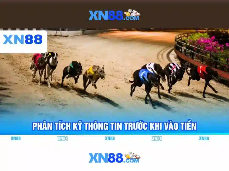 Tổng quan chủ đề và giá trị cốt lõi của xn88 tải app