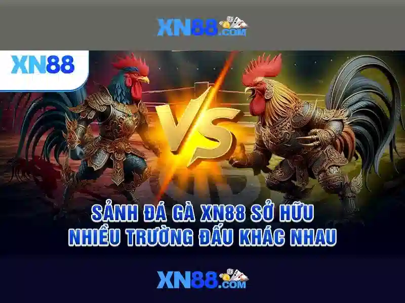 Xn88 và thế giới giải trí trực tuyến