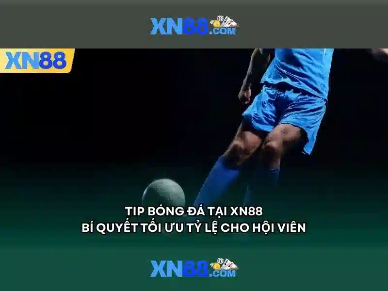 xn88 jpn – Tổng quan chủ đề và giá trị cốt lõi
