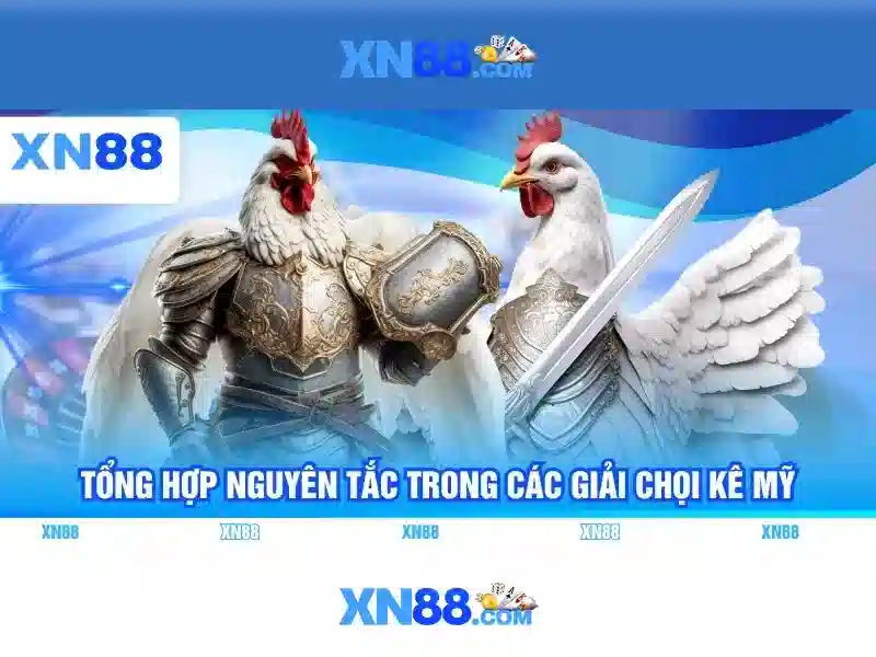 Giới thiệu xn88 và thế giới cá cược trực tuyến