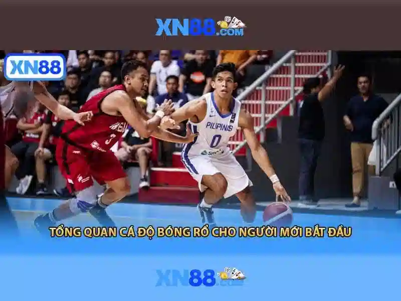 Xn88 là gì và những điều cần biết