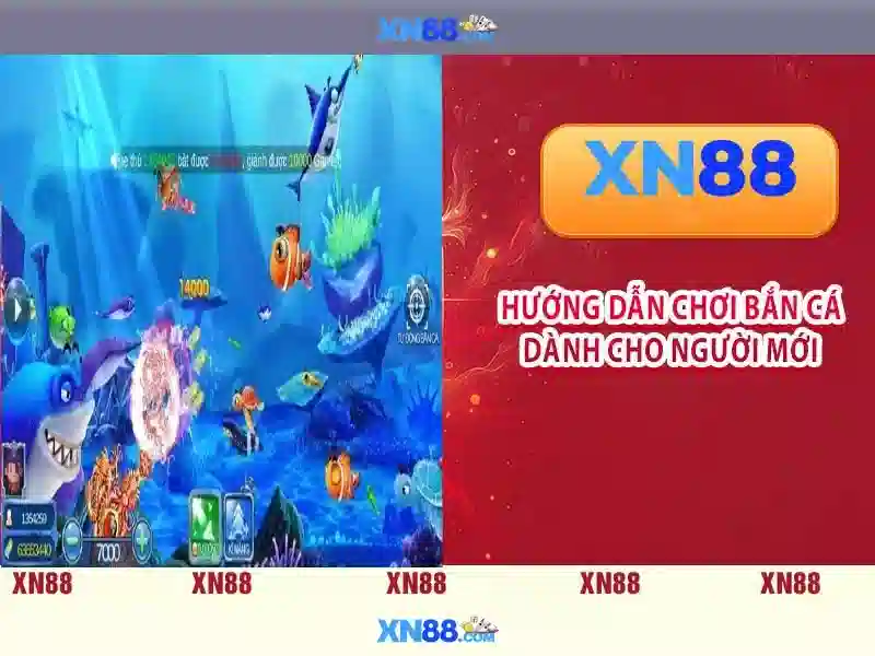 xn88: Nền tảng giải trí trực tuyến và phân tích tổng quan
