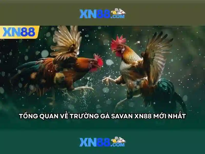 Các trò chơi và dịch vụ