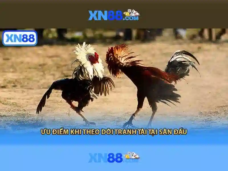 xn88 vip – Trải nghiệm đỉnh cao và an toàn cho người chơi