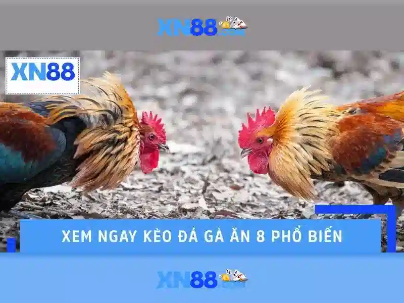 Tổng quan về xn88 là gì