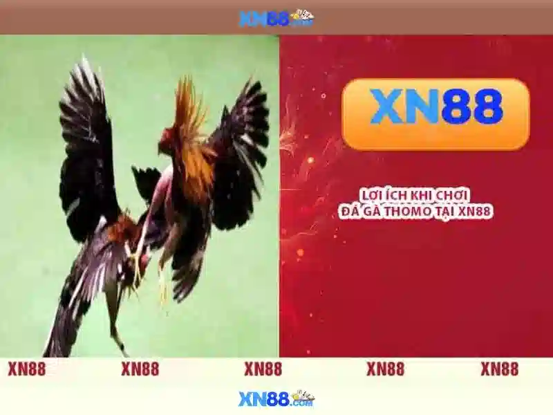 XN88 - Nền tảng trò chơi trực tuyến và trải nghiệm người chơi