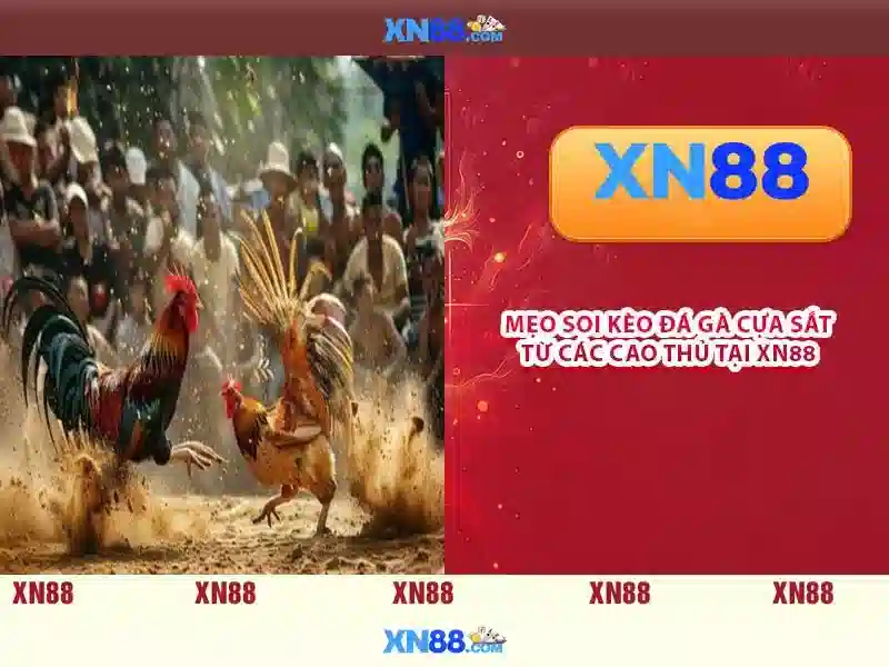 Tổng quan chủ đề và giá trị cốt lõi