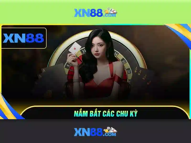 xn88: Giới thiệu về nền tảng và những điểm cần biết