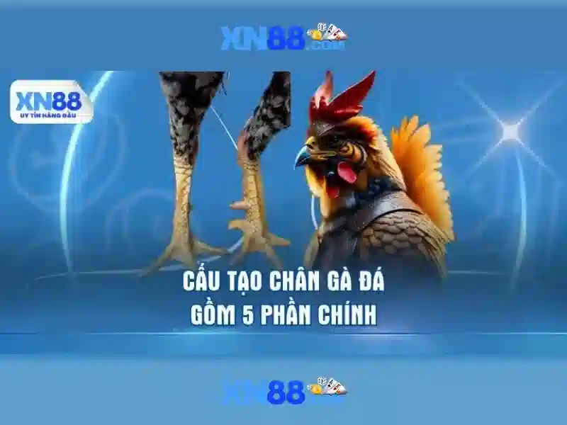 Lịch sử và nguồn gốc<h>Tính năng và tiện ích</h><li style=