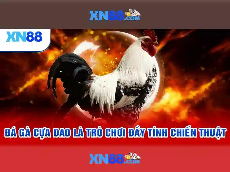 xn88 và thế giới cá cược trực tuyến