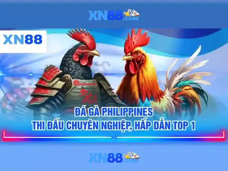 XN88: Nền tảng giải trí trực tuyến hiện đại và an toàn