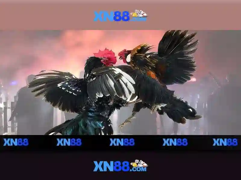 xn88: Giới thiệu và các khía cạnh quan trọng