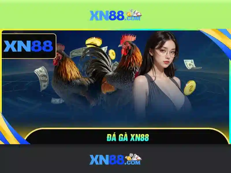 xn88 - Tổng quan về nền tảng giải trí và cược trực tuyến