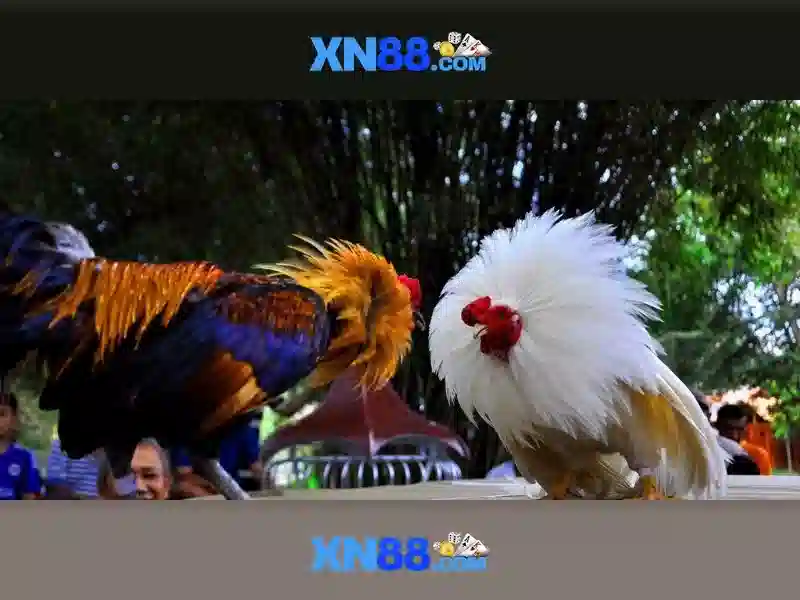 xn88: nền tảng trò chơi trực tuyến uy tín