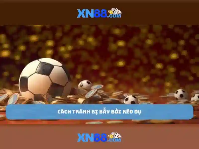 Giới thiệu về xn88