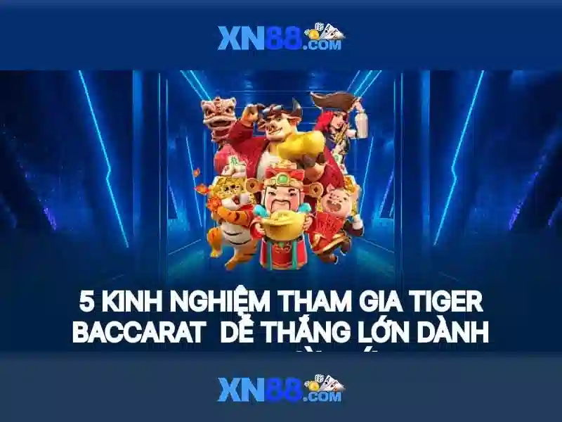 xn88: Tổng quan, an toàn và hướng dẫn tham gia