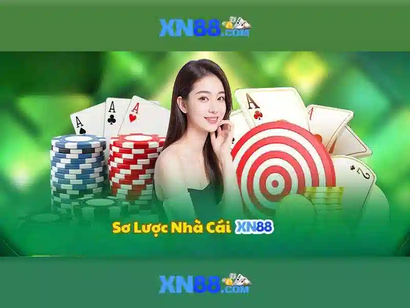 Nền tảng và chức năng