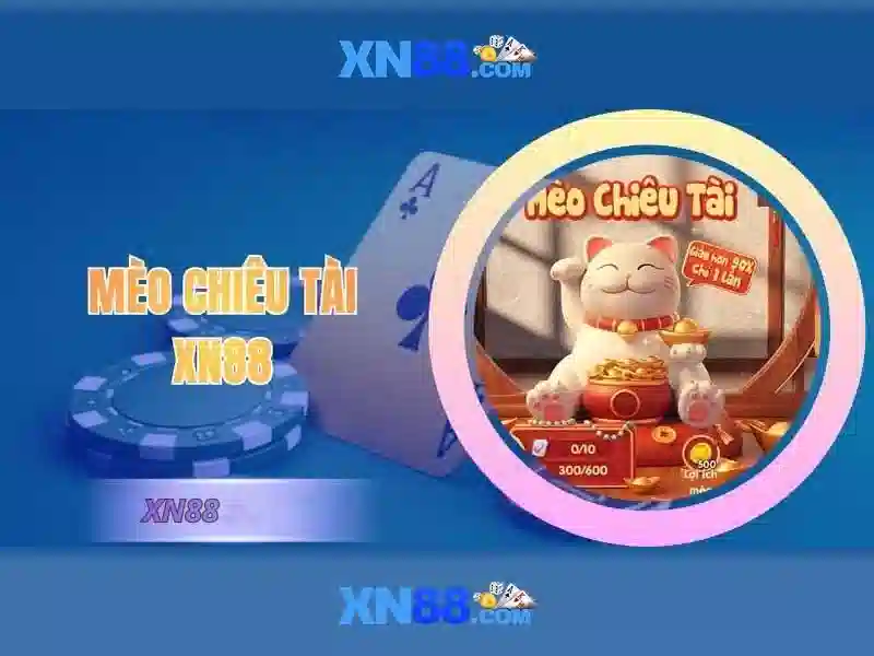 Công ty và sứ mệnh của XN88
