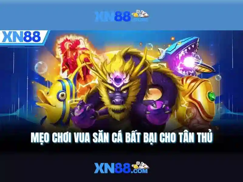 XN88: Nhìn tổng quan về nền tảng cược trực tuyến