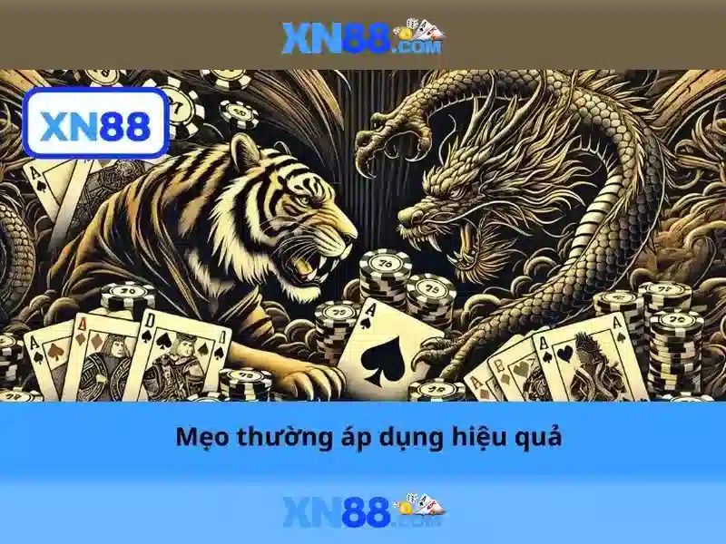 xn88: Giới thiệu và tổng quan