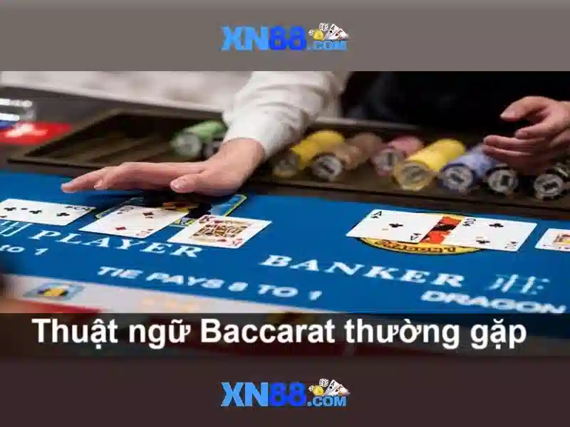 Hướng dẫn tham gia và mẹo trải nghiệm