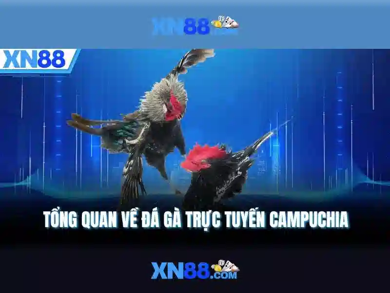 XN88: Tổng quan và hướng dẫn sử dụng nền tảng cá cược trực tuyến