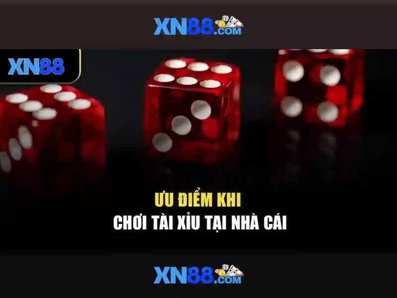 Các sản phẩm và dịch vụ