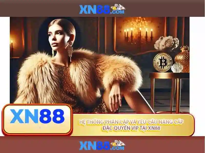 xn88: Cộng đồng và công nghệ trong thế giới số