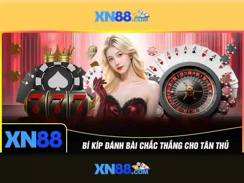 Giới thiệu về xn88