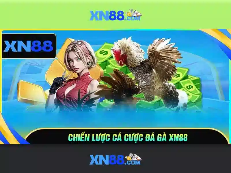 xn88 – Tổng quan về nền tảng giải trí trực tuyến