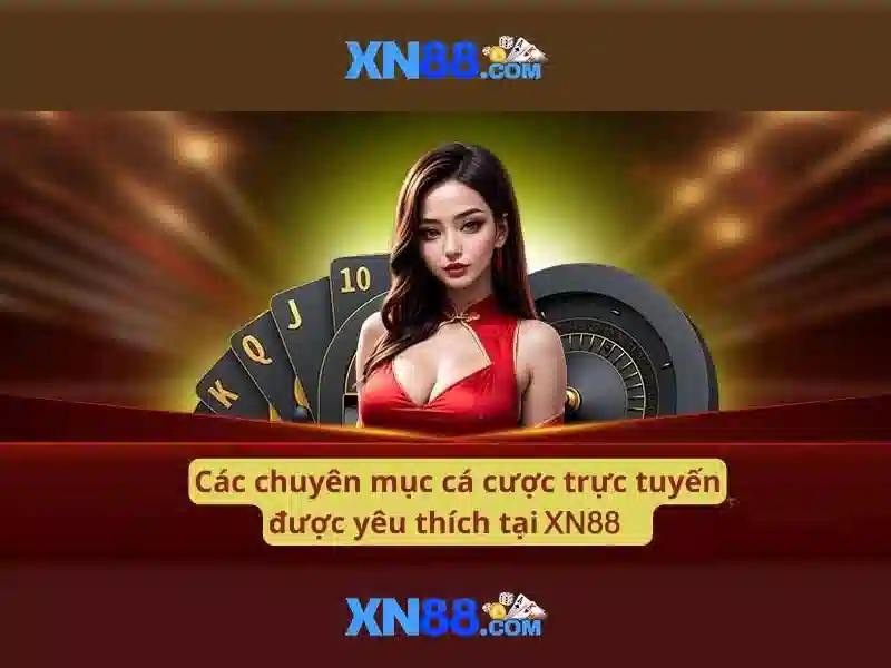 xn88: Giới thiệu và đánh giá