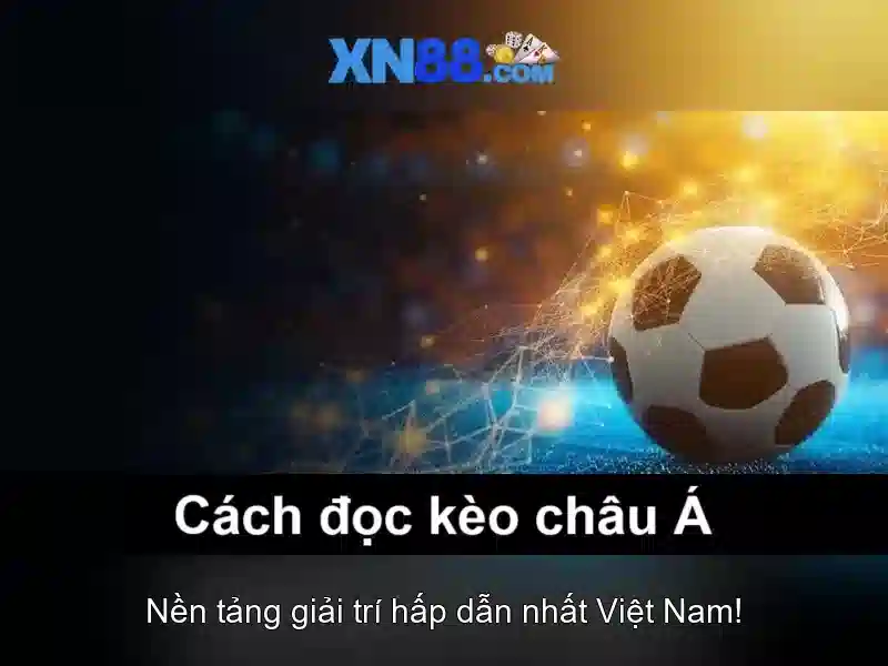 XN88: Giới thiệu và nhận định