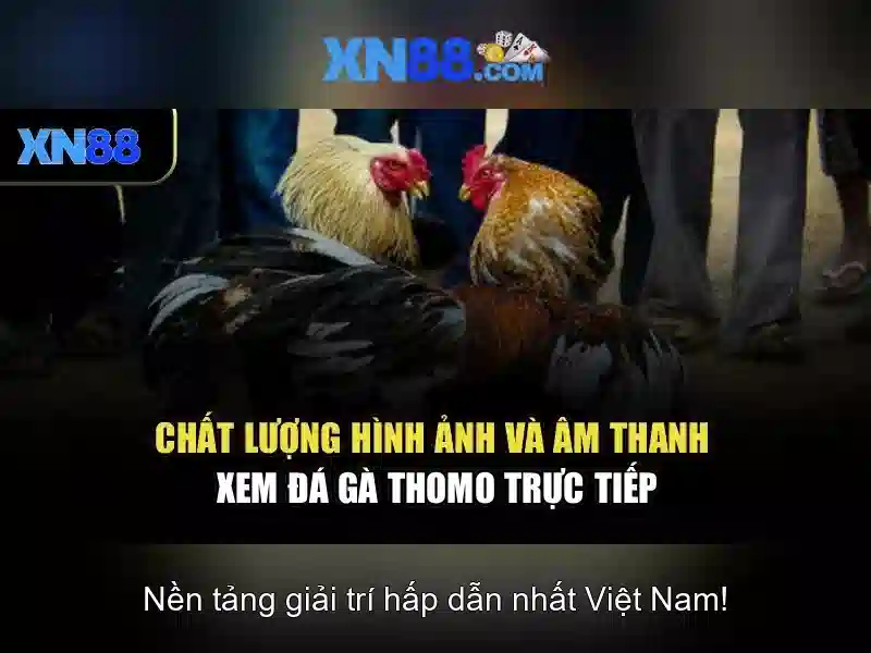 Đặc điểm nổi bật của xn88