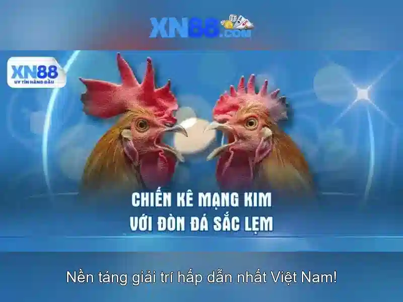 An toàn và bảo mật khi chơi trên xn88\n<h2><b>Hướng dẫn tham gia và nạp tiền tại xn88</b></h2>\n<li style=