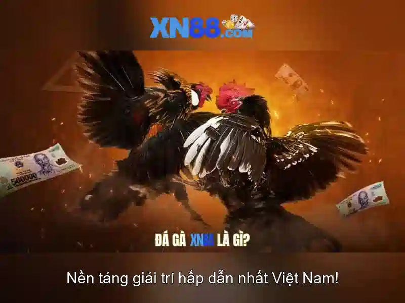 xn88 là gì và những điều bạn cần biết