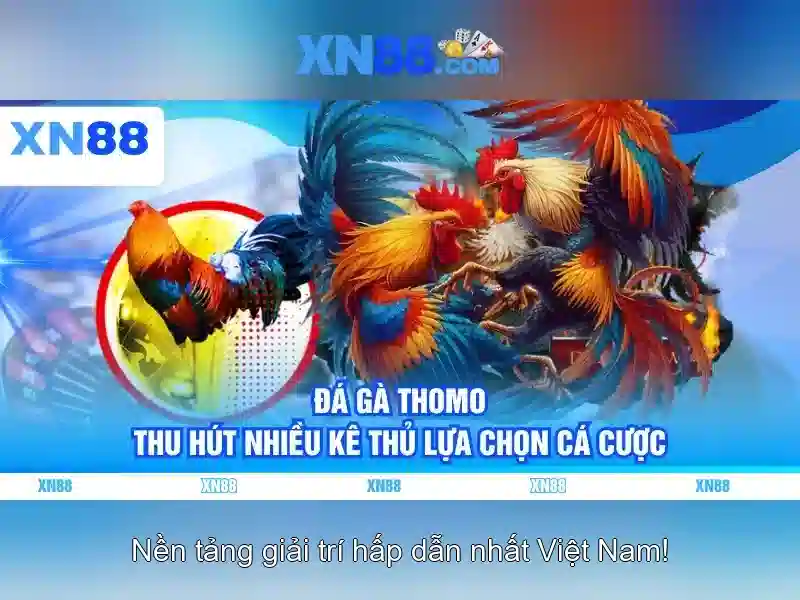 xn88 và thế giới cược trực tuyến