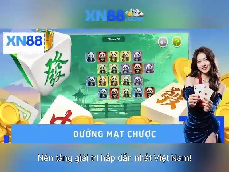 Xn88: Giới thiệu về nhà cái trực tuyến