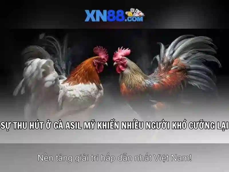 XN88: Nền tảng trò chơi trực tuyến và hệ sinh thái