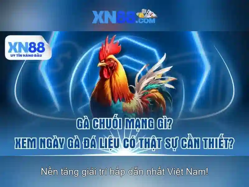 xn88: Tổng quan và hướng dẫn chơi an toàn