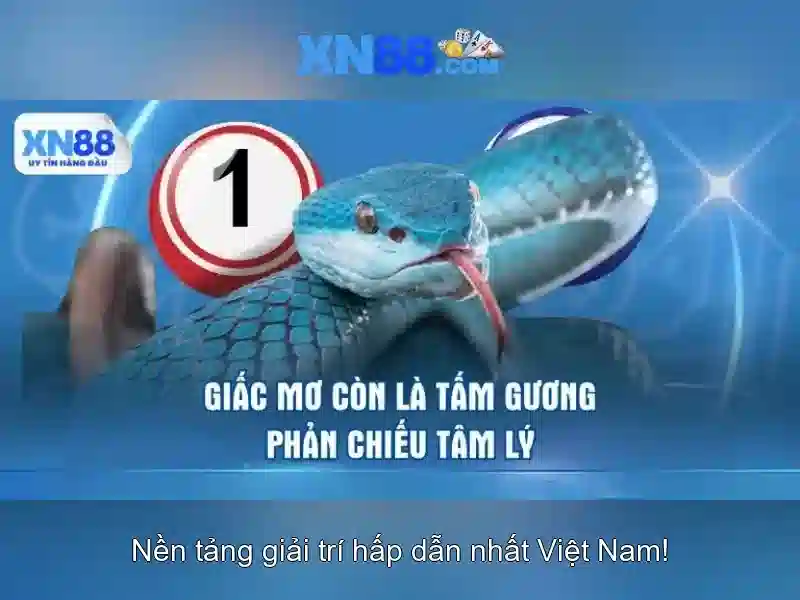 Xn88: Nền tảng trò chơi và cá cược trực tuyến