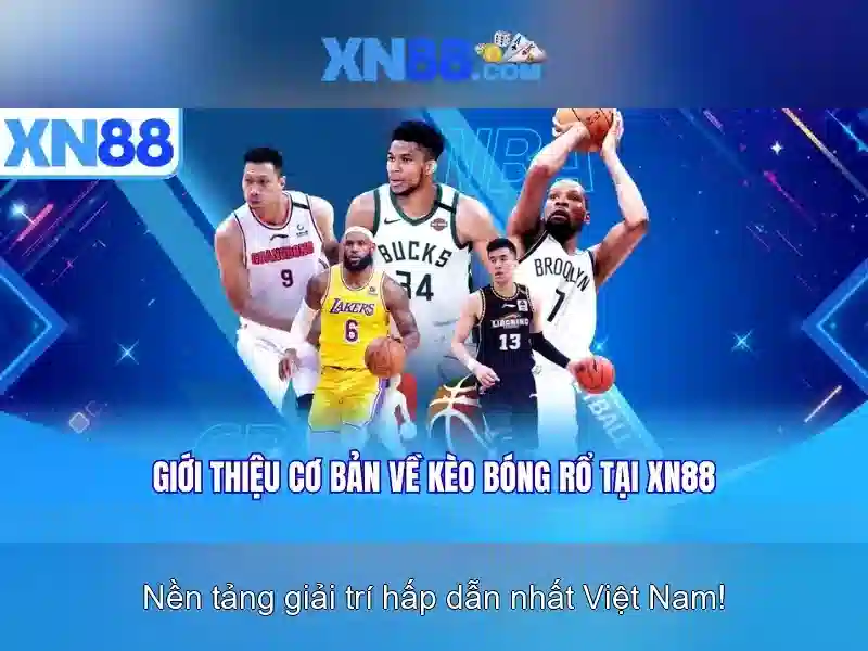 Hướng dẫn tham gia và lưu ý pháp lý\n