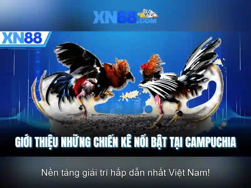 xn88: Tìm hiểu về nền tảng trò chơi trực tuyến